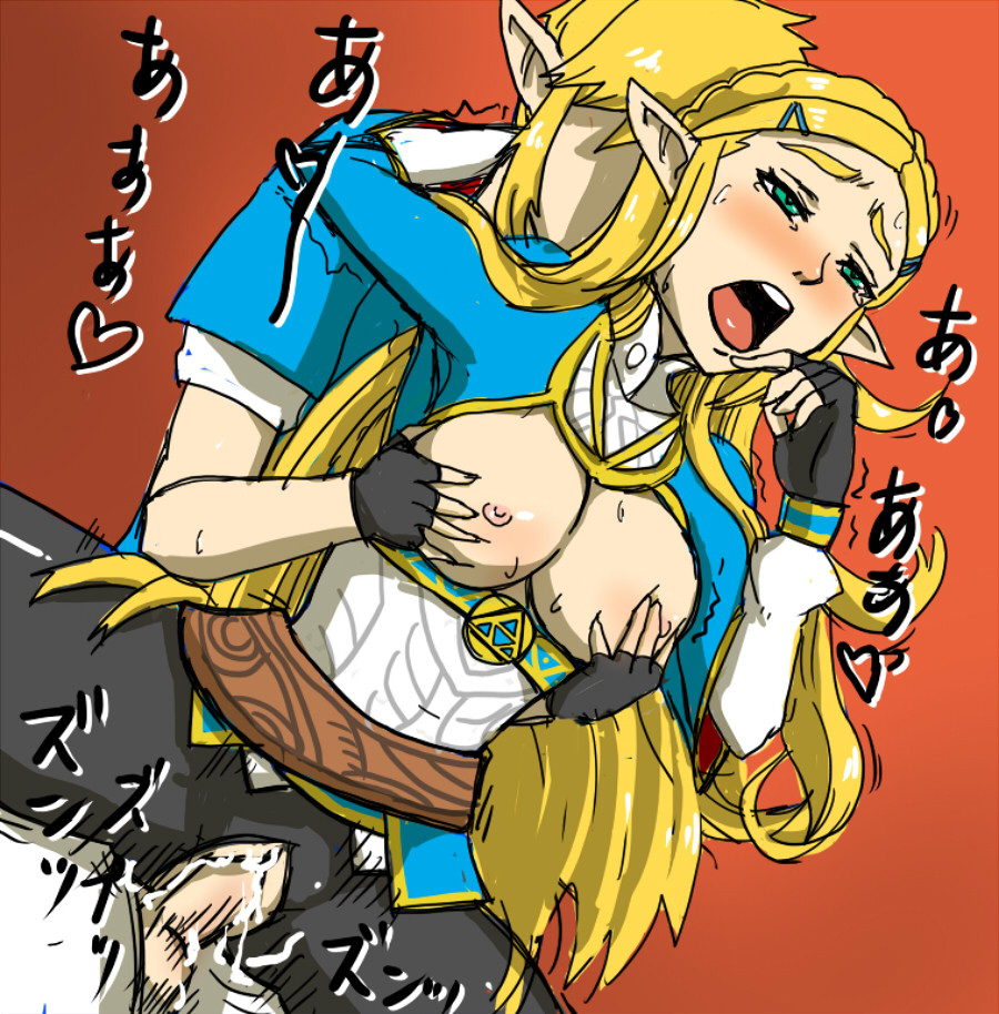 Watch The Legend of Zelda: Breath of the Wild - Princess Zelda doujinshi an...