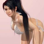 1090822 DEAD OR ALIVE Xtreme 3 Fortune 7