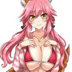 1092067 Tamamo no Mae 120