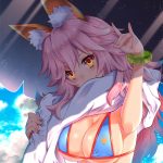 1092067 Tamamo no Mae 18