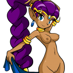 Shantae 1401837 Dancer Shantae Shantae Shantae character