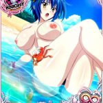 1117767 2317264 High School DxD xenovia