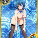 1117767 2317280 High School DxD xenovia