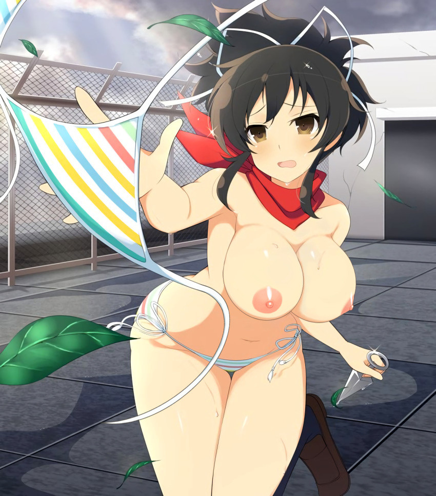 senran kagura 2.