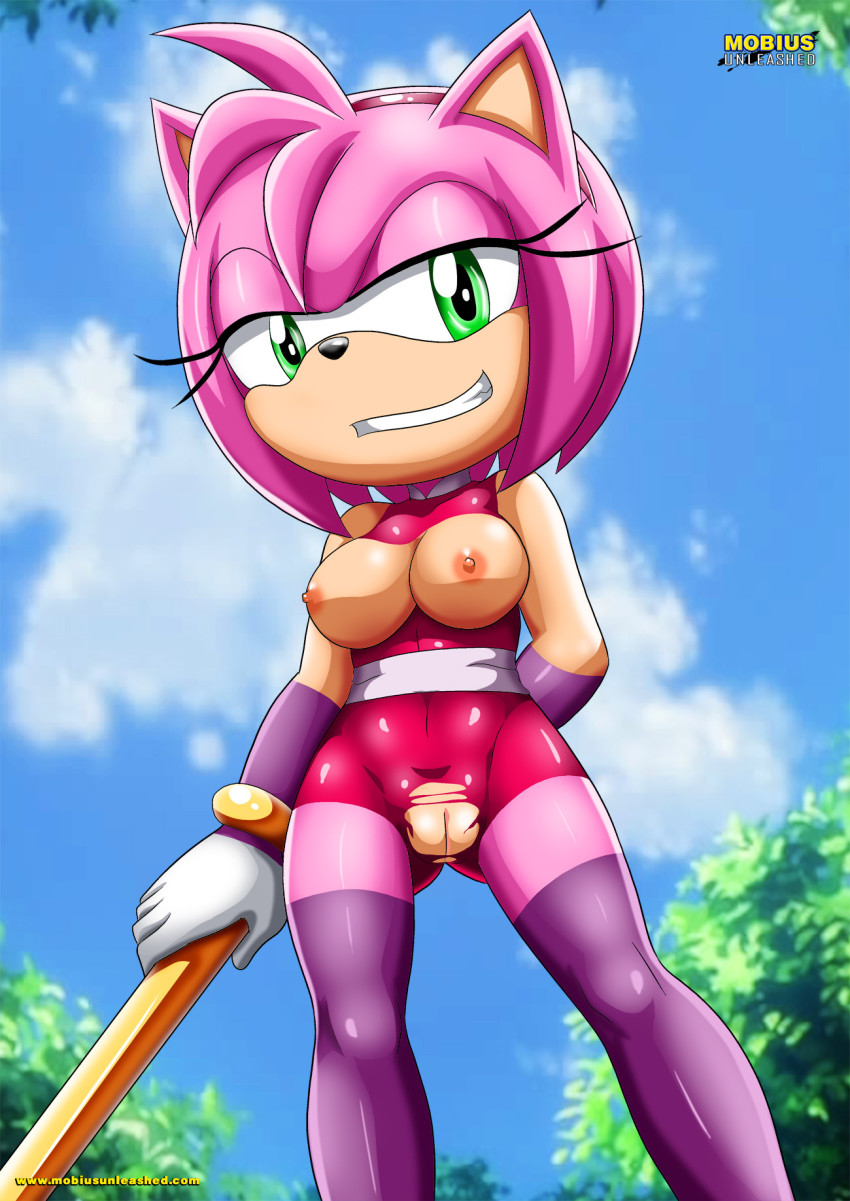 Amy Rose - Sonic The Hedgehog.
