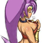 6959311 Shantae 1976424 Karu Otsuka Shantae Shantae (character)