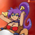 6959311 Shantae 2222744 KingDookie Shantae bolo