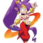6959311 Shantae Shantae 1676979 Shantae Shantae (character) dangergirlfan