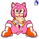 7028736 1002418 Amy Rose Sonic Team Torble