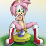 7028736 1006385 Amy Rose Sonic Team the other half