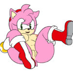 7028736 1029897 Amy Rose Sonic Team