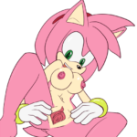 7028736 1096219 Amy Rose Sonic Team the other half