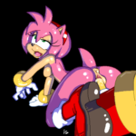 7028736 1096867 Amy Rose Sonic Team is