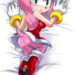 7028736 1126878 Amy Rose GaruGiroSonicShadow Sonic Team