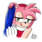 7028736 121830 Amy Rose Kio Sonic Team Sonic The Hedgehog