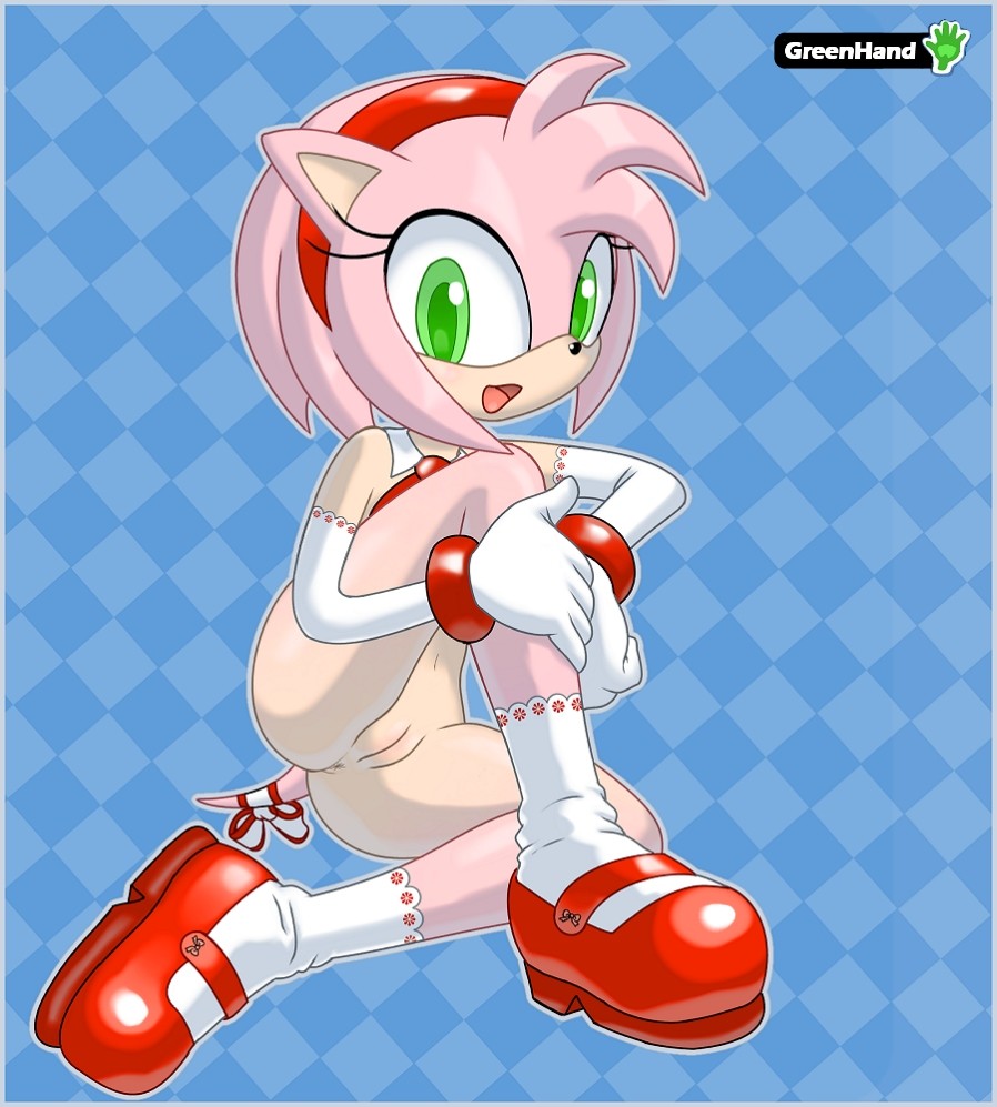 Rule 34 Collection Amy Rose 1 Hentai Online Porn Manga And Doujinshi