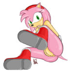 7028736 242510 Amy Rose Sonic Team