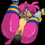 7028736 254525 Amy Rose Sonic Team is BEST