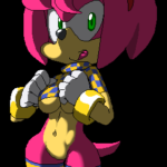 7028736 271354 Amy Rose Sonic Team is