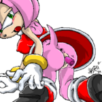 7028736 33193 Amy Rose Sonic Team