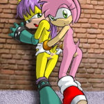 7028736 33389 Amy Rose Mina Mongoose PalComix Sonic Team