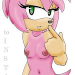 7028736 33399 Amy Rose Sonic Team