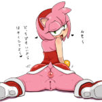 7028736 348108 Amy Rose Sonic Team tamagoro BEST