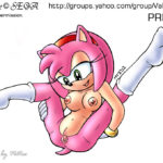 7028736 35564 Amy Rose Sonic Team Vkyrie