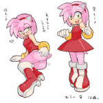 7028736 504040 Amy Rose Sonic Team