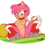 7028736 740501 Amy Rose Sonic Team daxzor