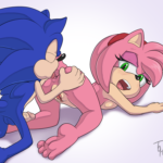 7029330 1557372 Amy Rose Sonic Team Sonic The Hedgehog the other half BEST