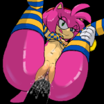 7029330 254525 Amy Rose Sonic Team is BEST