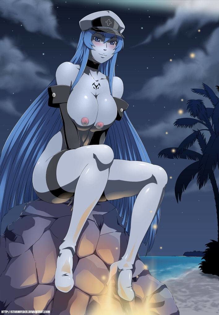 Read Rule 34 Esdeath Hentai Online Porn Manga And Doujinshi