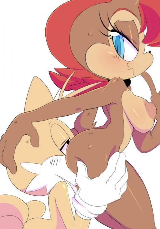 sally acorn.