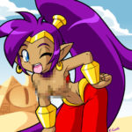 6055756 Shantae Censored 1540463 Rings Shantae Shantae character dangergirlfan