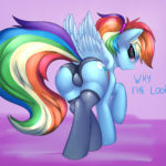 6023552 Rainbow Dash Solo (13)