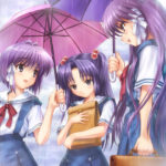 1203809 clannad hms 0207