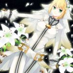 1219558 086 Saber Bride 17