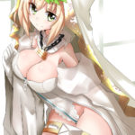 1219558 1122 Saber Bride 44