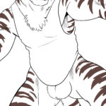 1286851 Tiger wet shirt lineart