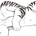 1286851 sleeping tiger lineart