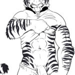 1286851 tiger lineart