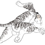 1286851 tiger running lineart
