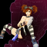 Gaige 19