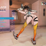 1288749 178 RenX 431778 Tracer Pose