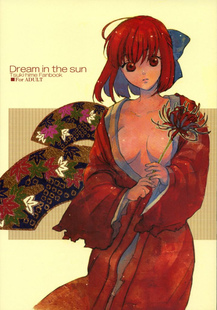 Read Aihara Otome Yamada Nyoriko Dream In The Sun Ts