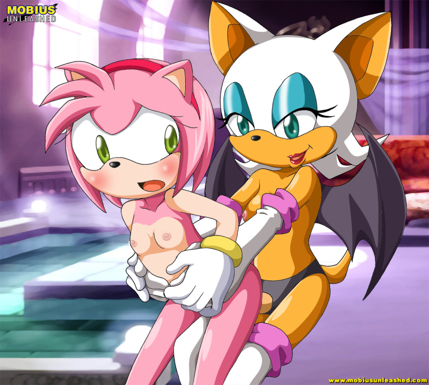 Mobius Unleashed: Amy Rose.