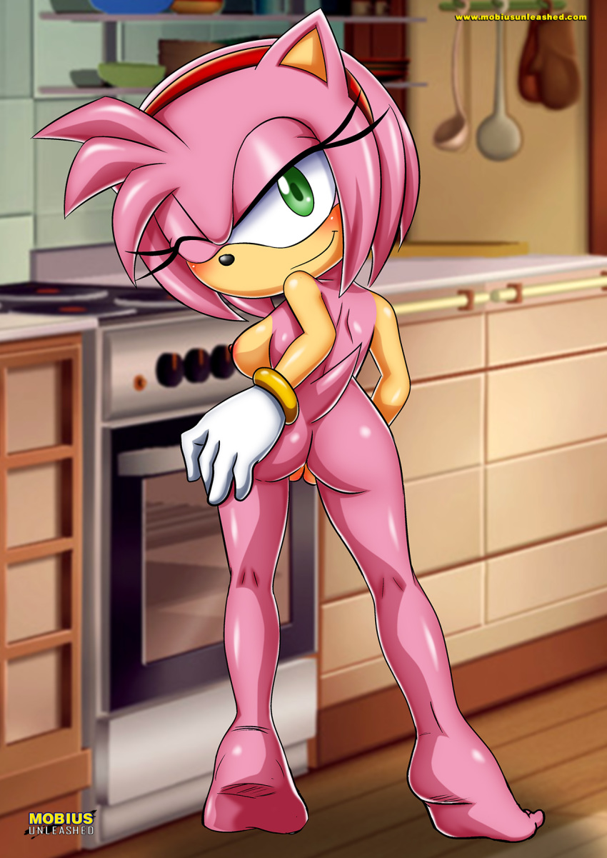 Mobius Unleashed: Amy Rose. 