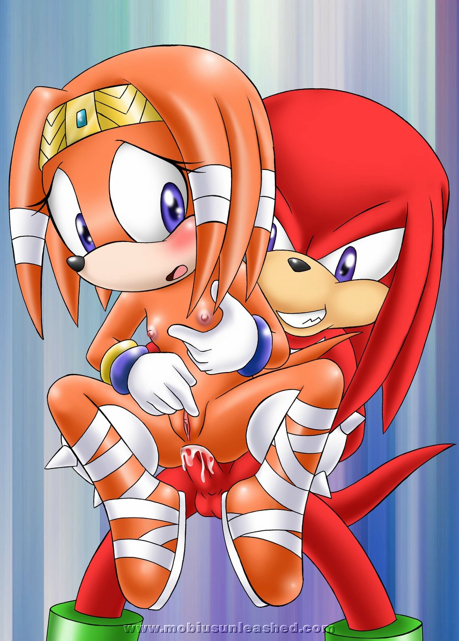 Mobius Unleashed: Tikal the Echidna.