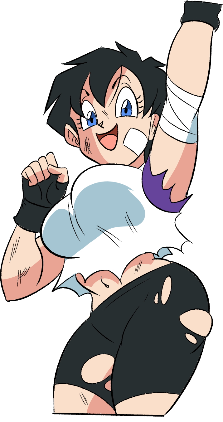 1698263 main Videl 2